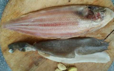 比目鱼怎么清理去鱼皮 比目鱼怎么清理