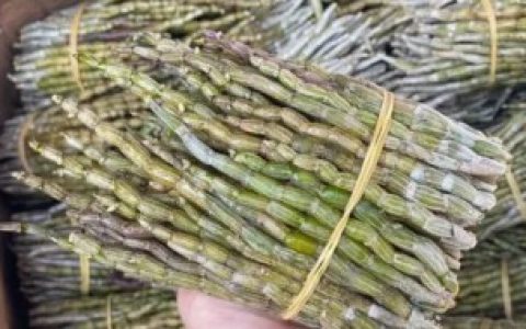 生活中购买的新鲜石斛可以放多久（生活中购买的新鲜石斛存放的时间）