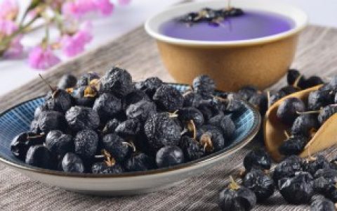 【黑枸杞盆栽如何种植】黑枸杞盆栽怎么种植方法