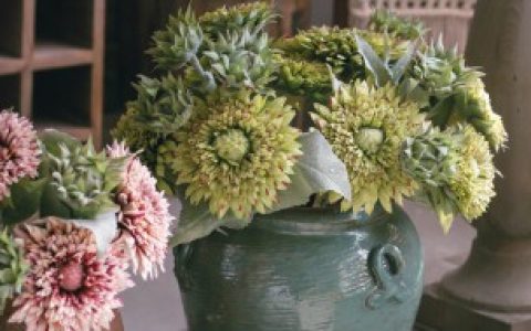 仿真假花是如何做的（仿真假花是怎么做的）