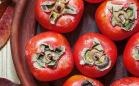 【吃雪莲果和柿子有没有毒】吃雪莲果和柿子能不能一起吃