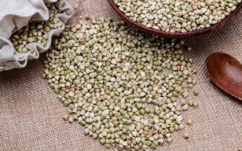 【荞麦主要生长在哪里】荞麦产地