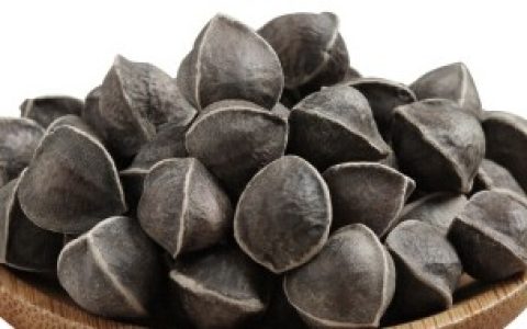 辣木籽怎么吃是正确的方法是什么（辣木籽怎样吃是正确的方法是什么）