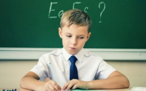 铁树的花语是什么意思 铁树的花语的含义