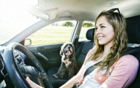 【汽车如何抽油】汽车抽油最简单的方法