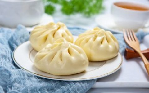 包子可不可以放冰箱冷冻（包子能放冰箱冷冻吗）