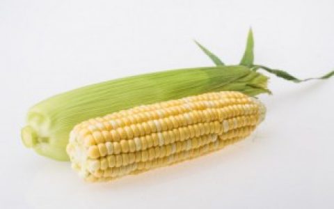 煮熟的玉米第二天吃怎么保存（煮熟的玉米第二天吃的保存方法）