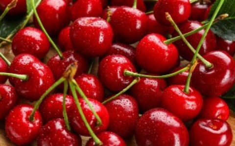 樱桃可以放冰箱吗（樱桃是否可以放冰箱保存）