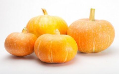 【怎么鉴别南瓜变质了】鉴别南瓜变质了的方法