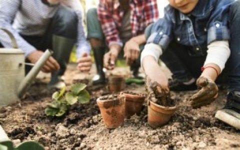 春季室外盆栽花卉的养护要点 关于春季室外养花的注意事项