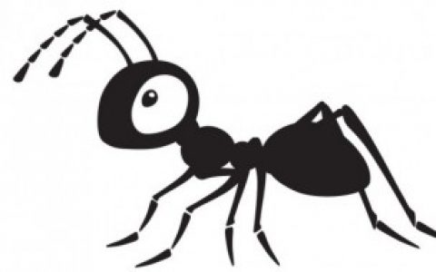 【家里有飞蚂蚁如何除根】家里有飞蚂蚁怎么除根