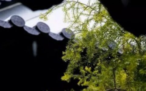 【南方梅雨季节什么时候开始什么时候结束】南方梅雨季节是几月份到几月份结束