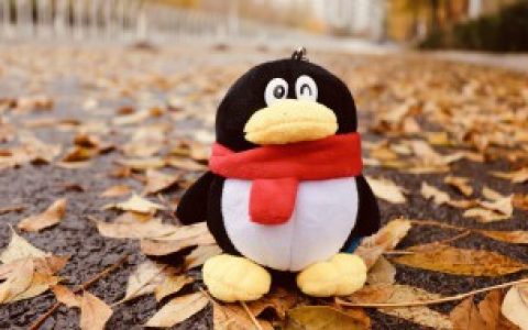 QQ好听的四个字网名（QQ好听的四个字网名精选）