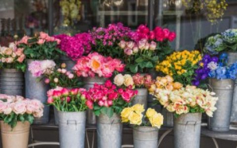 【餐桌摆放什么花寓意好】餐桌摆放的花有什么