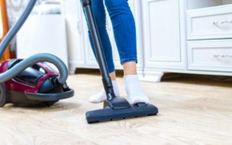 卫生间小飞虫从什么地方来的（卫生间小飞虫从哪来的）