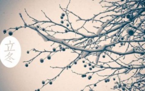 立冬时节的注意事项是什么（立冬时节需要注意什么）