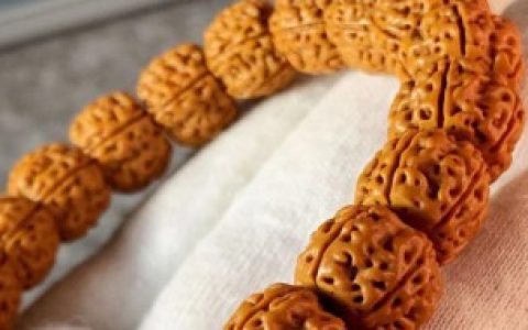 金刚菩提能吃吗 金刚菩提可以吃吗