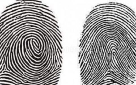 【指头上的斗和簸箕的含义】指头上的斗和簸箕的含义是什么