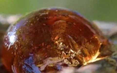 【琥珀的形状】琥珀长什么样