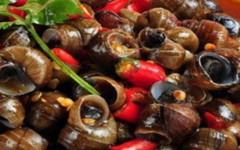 吃田螺的最佳什么季节（吃田螺的最佳季节是什么时候）