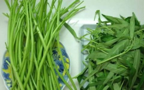 空心菜怎么摘叶（空心菜摘叶方法）