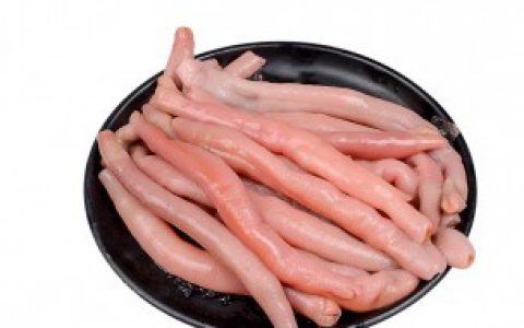 海老鼠和海肠的区别 海老鼠和海肠有如下不同之处