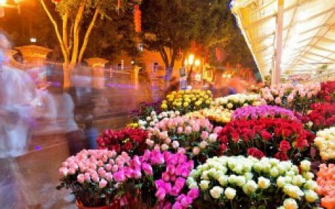 花的寓意象征 花寓意的象征