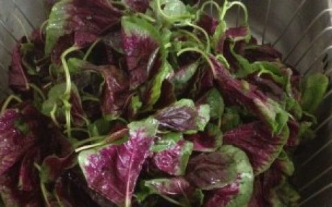 苋菜怎么洗才干净 苋菜怎么洗