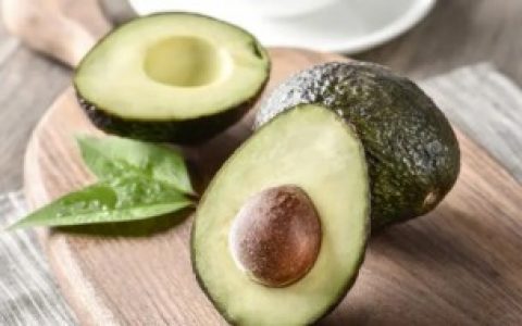 牛油果盆栽怎么种植 牛油果盆栽如何种植