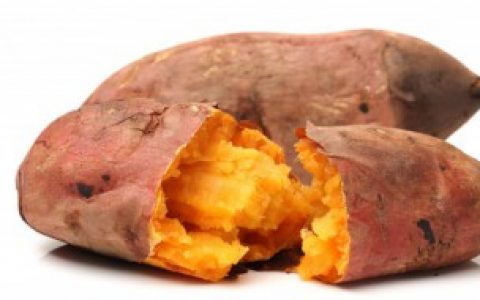 地瓜密封保存可以吗（地瓜密封保存行不行）