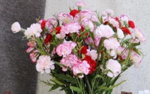 家里客厅能摆放假花吗 家里客厅能不能摆放假花