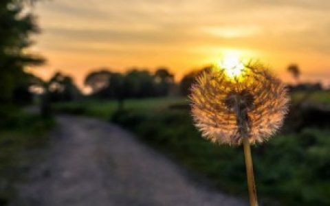 关于概括自己的一句话（概括自己的一句话）