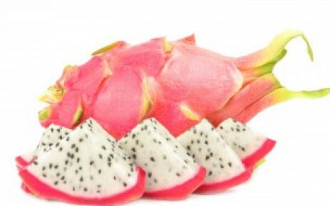 火龙果种植间距是多少,火龙果种植间距是多少距离