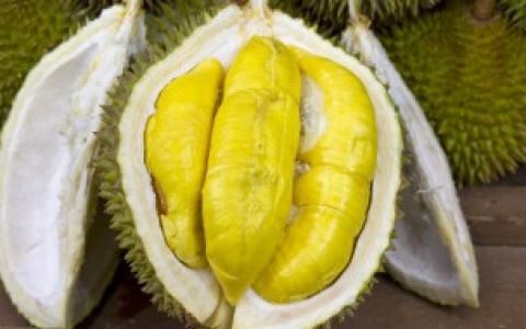 如何保鲜榴莲 榴莲保鲜的方法