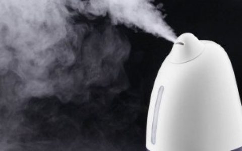 保养加湿器的方法（加湿器怎么保养最好）