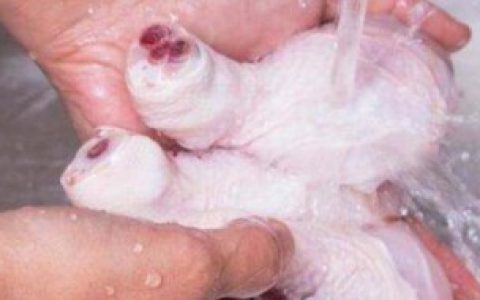 鸡肉冻冰箱之前可以洗吗 鸡肉冻冰箱之前可不可以洗