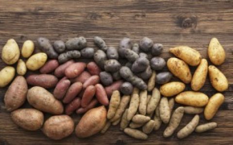 有哪些蔬菜种类保鲜时间比较长 什么蔬菜种类保鲜时间比较长