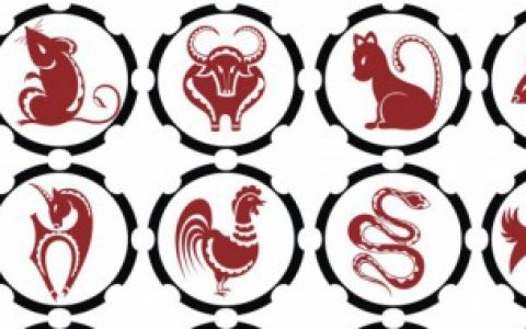 野肖是哪几个肖,野肖生肖是什么