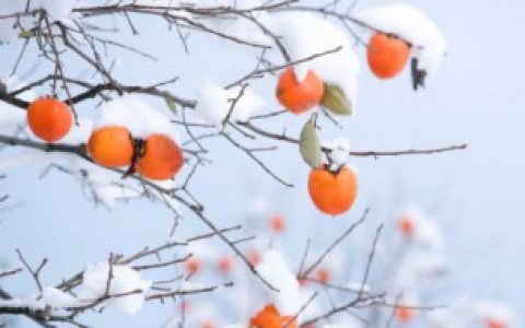 冬季怎么防寒 冬季防寒方法