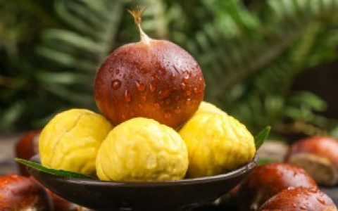 鲜板栗如何去皮和壳（鲜板栗怎么去皮和壳）