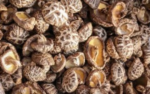 干的香菇怎么保存 干的香菇如何保存