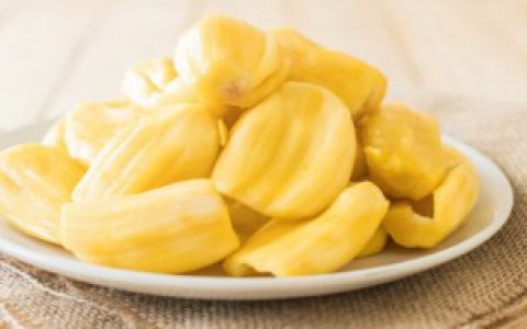 【没熟的菠萝蜜可以吃吗】没熟的菠萝蜜能不能吃