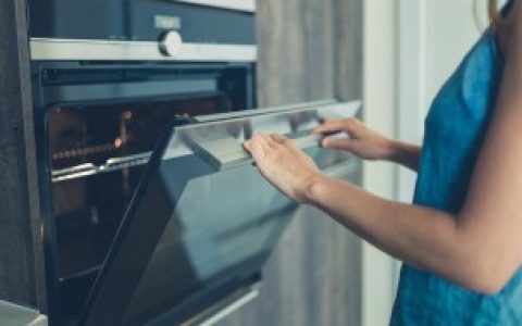 瓷盘子可以用烤箱吗,瓷盘子能否用烤箱