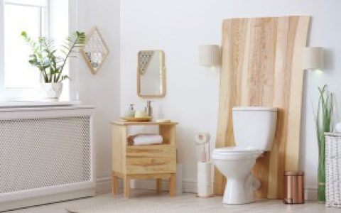 厕所硫化氢如何去除,厕所硫化氢怎样去除