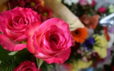 【玫瑰花如何保存时间长】玫瑰花怎样保存时间长