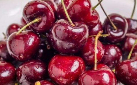 车厘子泡酒要泡多久（车厘子泡酒要泡多长时间）