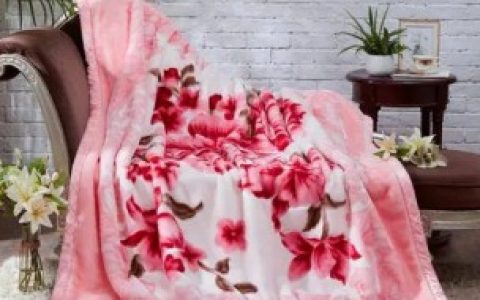 家庭清洗拉舍尔的方法 家庭清洗拉舍尔的方法介绍