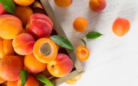 【如何晒杏干】晒杏干的方法