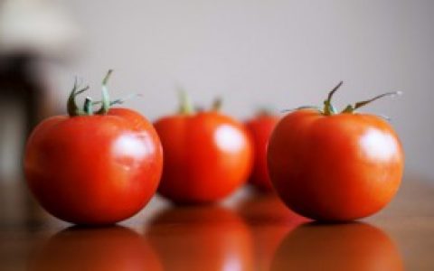 西红柿如何保存时间最长（西红柿怎样保存时间最长）
