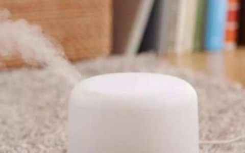 加湿器晚上要开一整晚吗 加湿器晚上要不要开一整晚